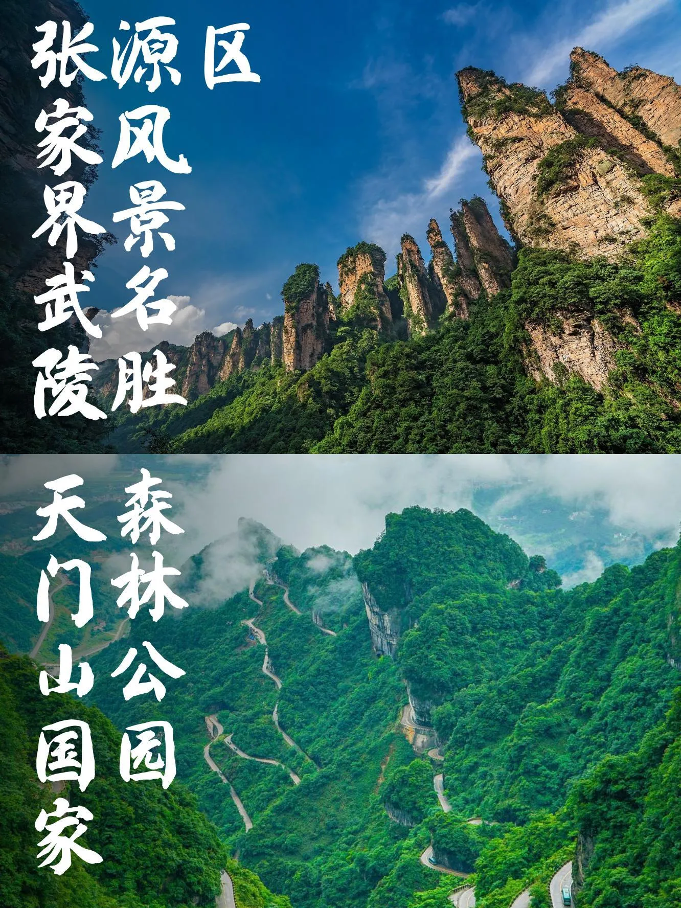张家界天门山旅游注意事项(张家界天门山景区需要提前预定吗)