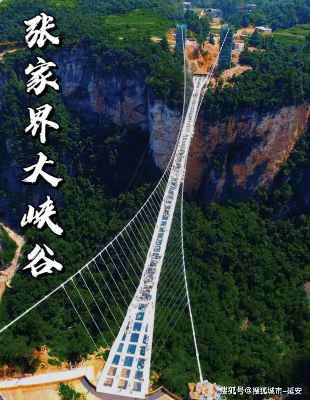 张家界天门山旅游大概多钱(张家界天门山一日游票价多少)