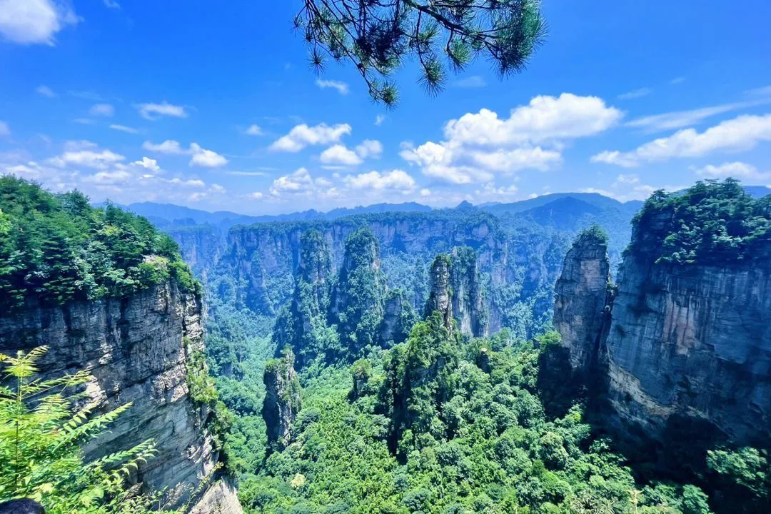 关于张家界旅行(张家界旅行路线攻略) 关于张家界旅行(张家界旅行路线攻略)