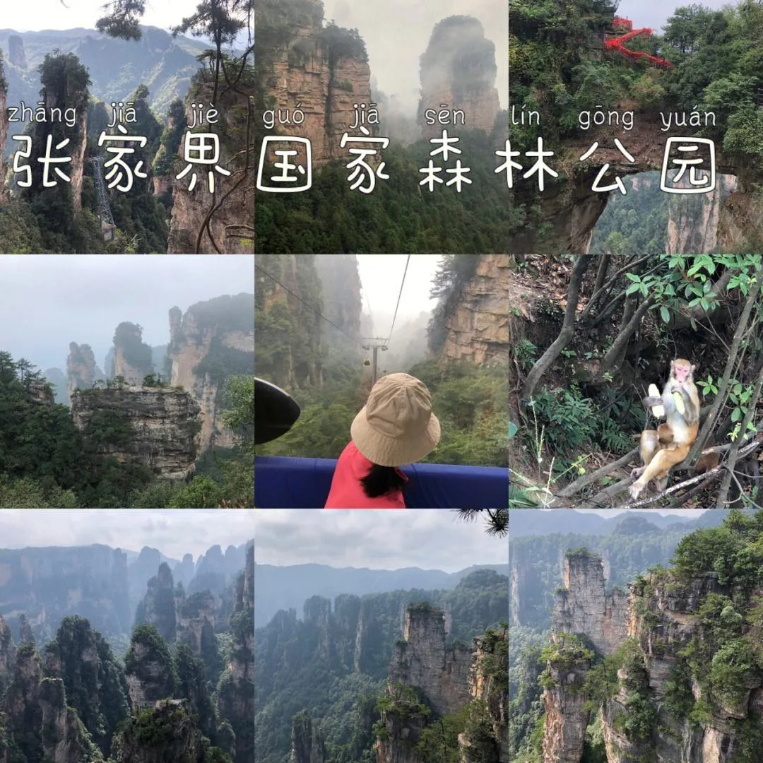 宝鸡到张家界游攻略(宝鸡到张家界开车多长时间)