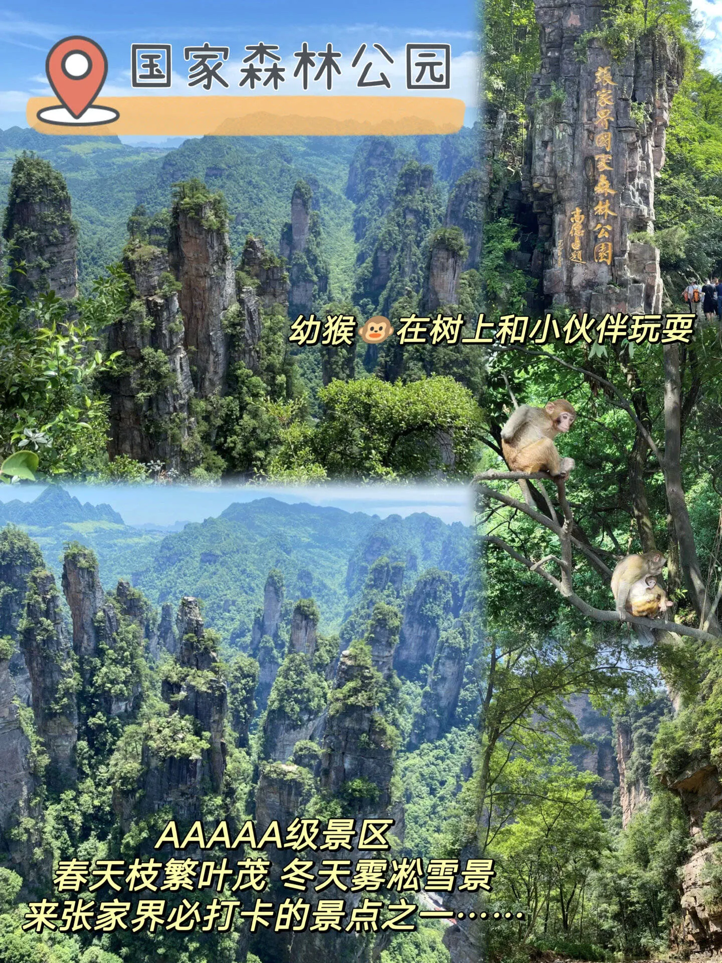 张家界旅游张家界旅游团的简单介绍