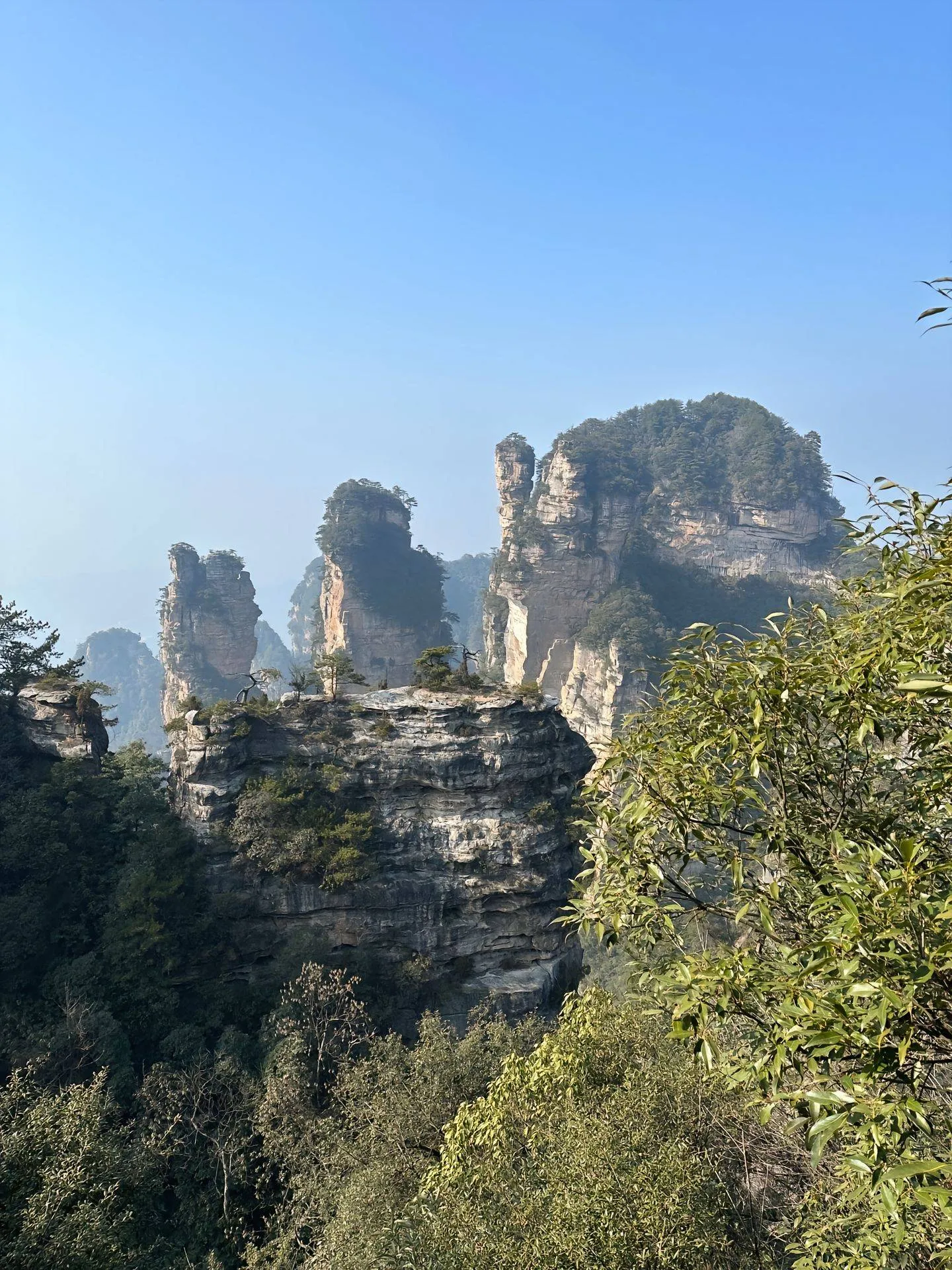 从广州南去张家界路线(广州南站到湖南张家界到哪个站下车)