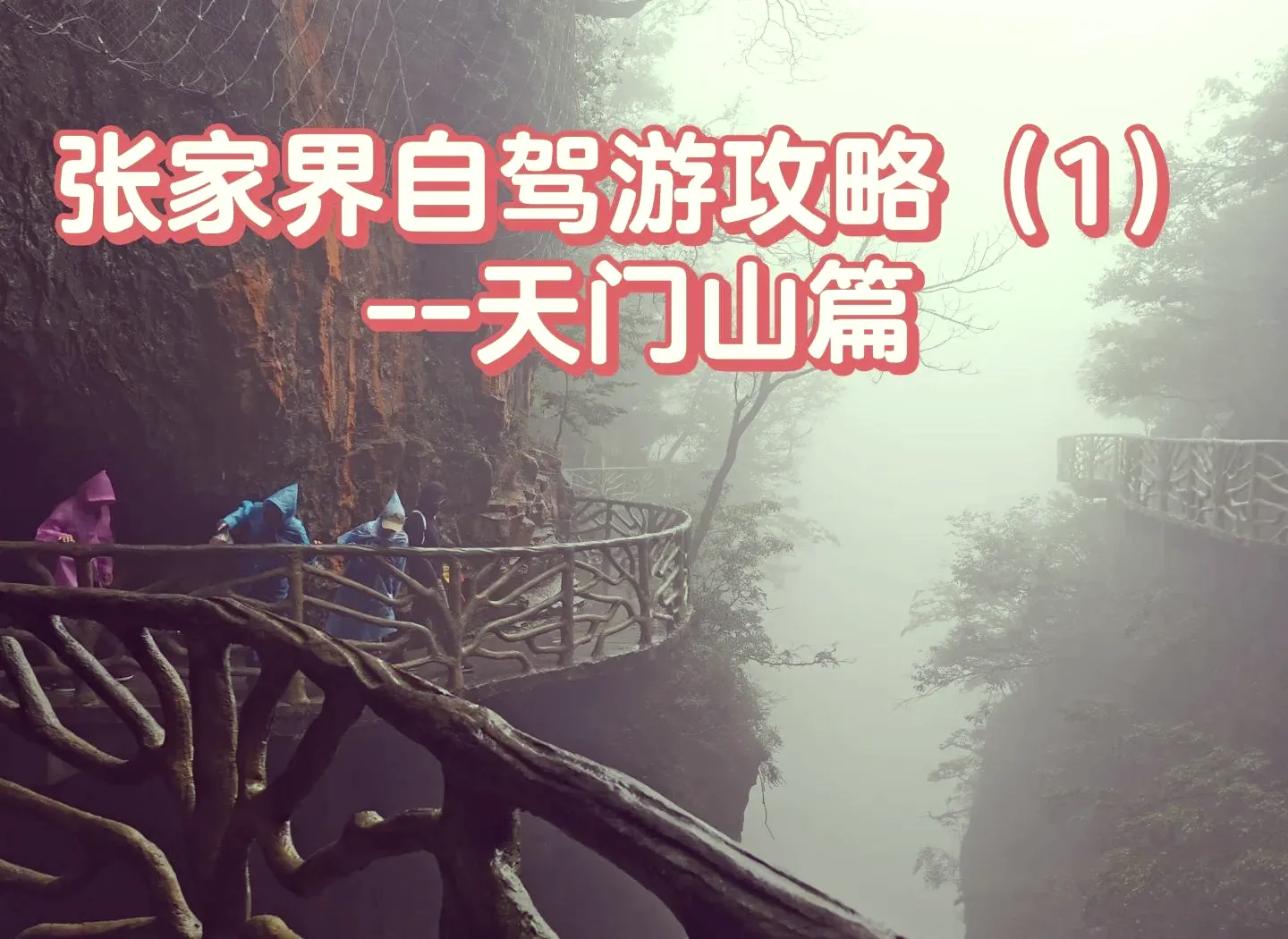 武汉到张家界旅游攻略自由行三天(武汉到张家界旅游攻略自由行三天游) 武汉到张家界旅游攻略自由行三天(武汉到张家界旅游攻略自由行三天游)