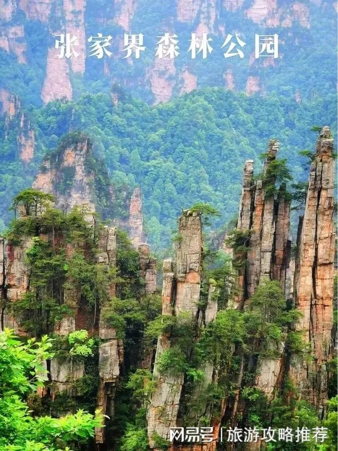 张家界天门山旅游大概多钱(张家界天门山一日游票价多少)