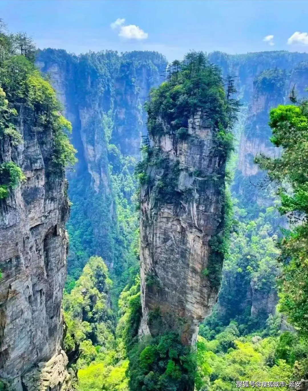 湖南张家界夏天旅游注意(湖南张家界夏天旅游注意哪些事项)