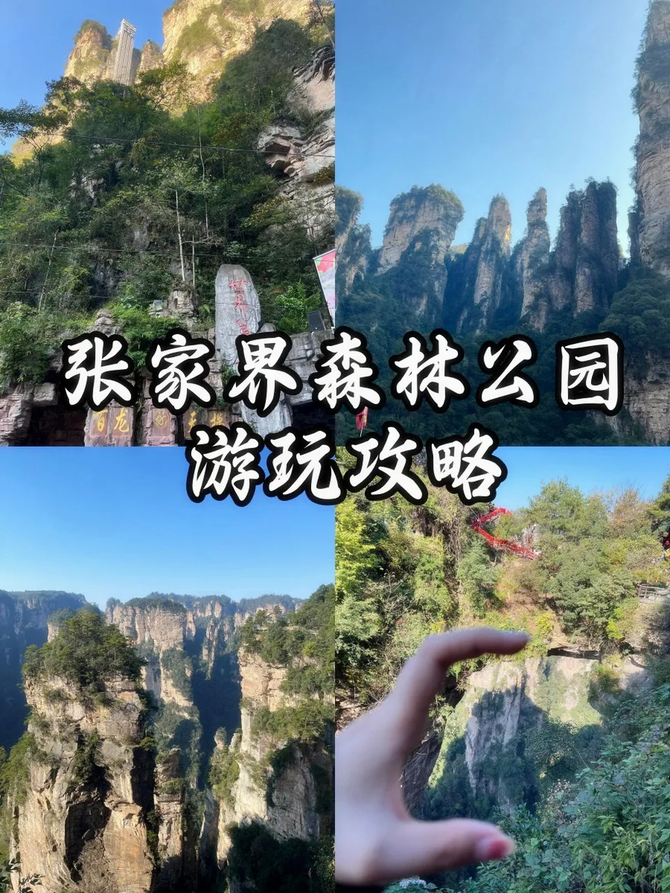 张家界国家森林公园自助游攻略(张家界国家森林公园自助游攻略视频) 张家界国家森林公园自助游攻略(张家界国家森林公园自助游攻略视频)