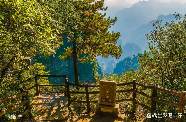 张家界景点游玩攻略(张家界景点游玩攻略一日游)