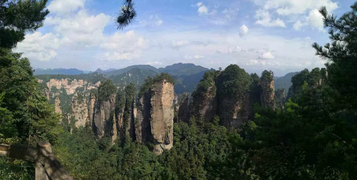 张家界2019年旅游(张家界2019年旅游人次)