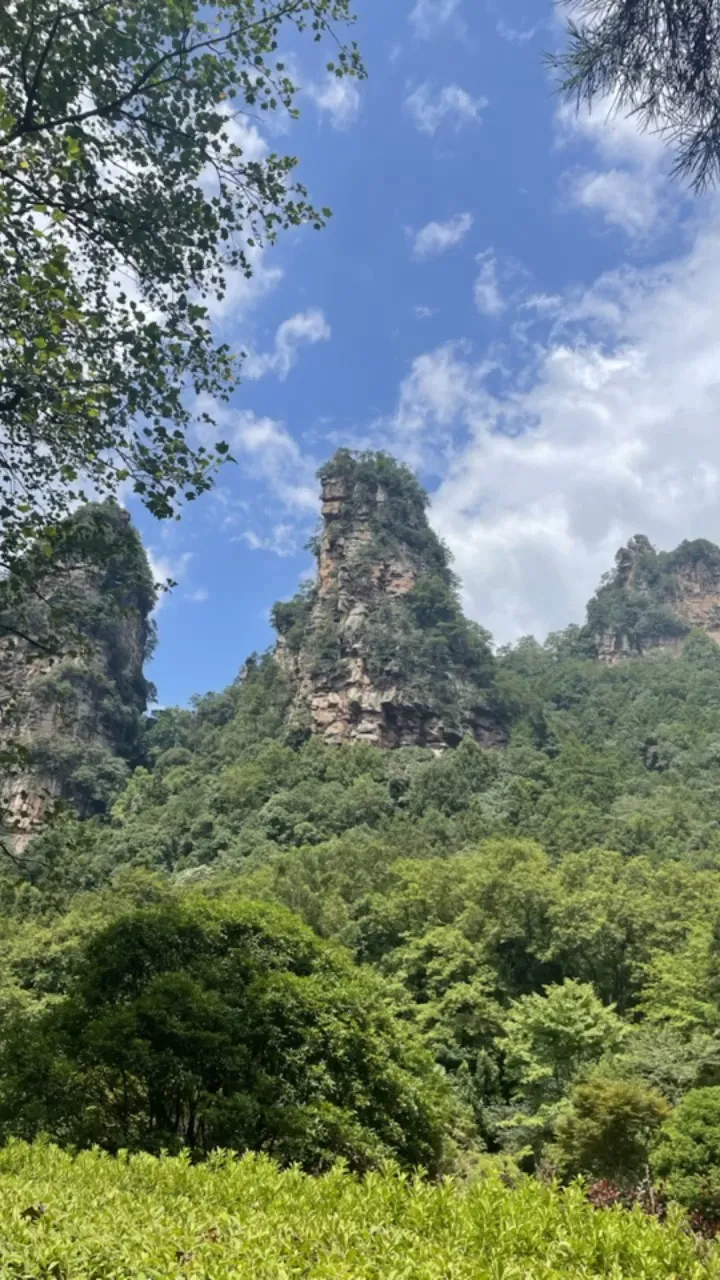 去张家界游玩值得(去张家界旅游必去景点)