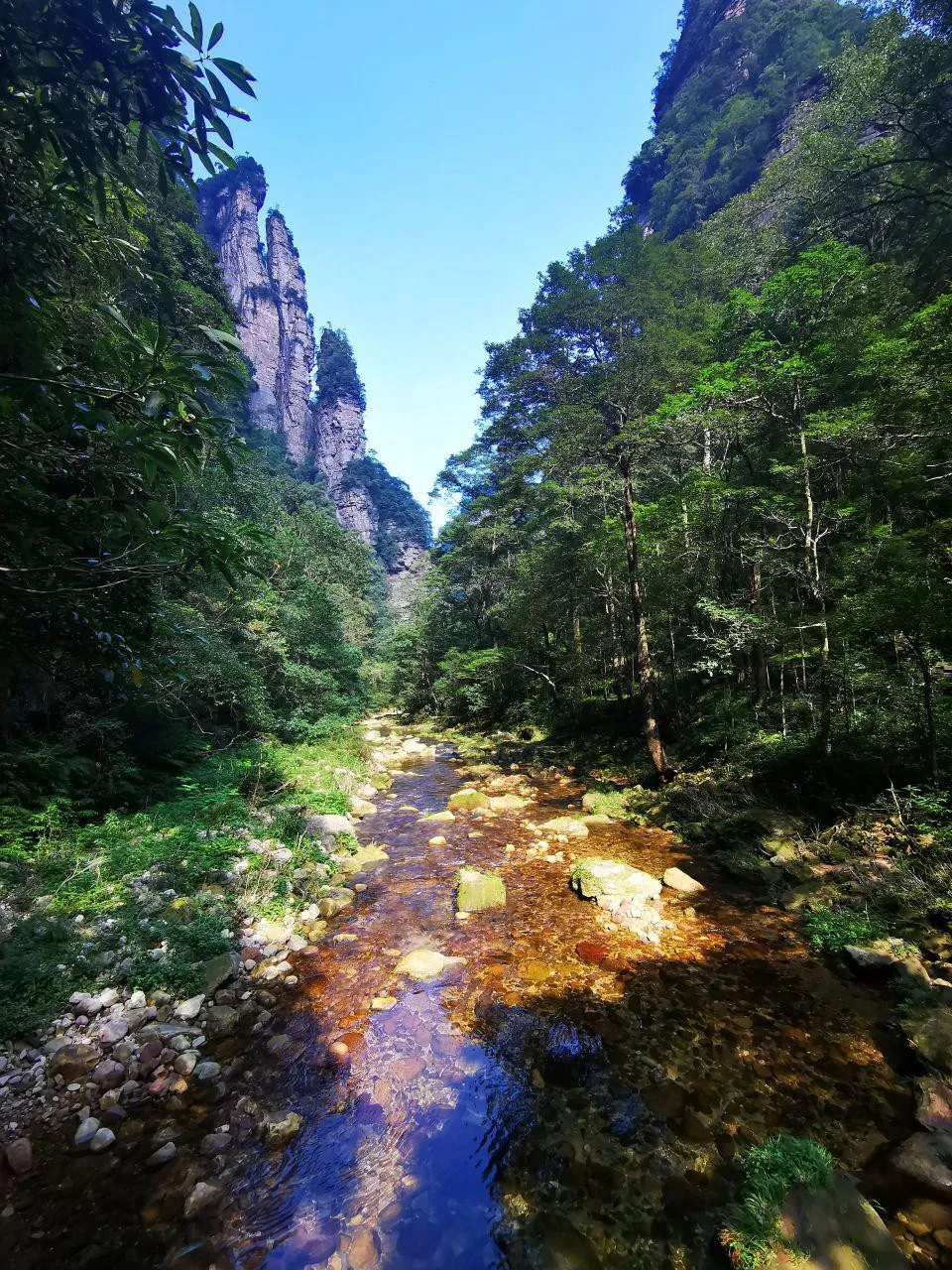 张家界和天门山哪个更值得玩(张家界和天门山哪个更值得玩一下)