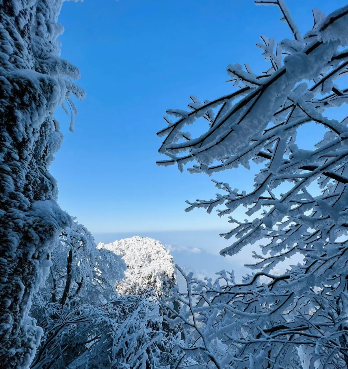 张家界天门山的雪景(张家界天门山雪景文案)