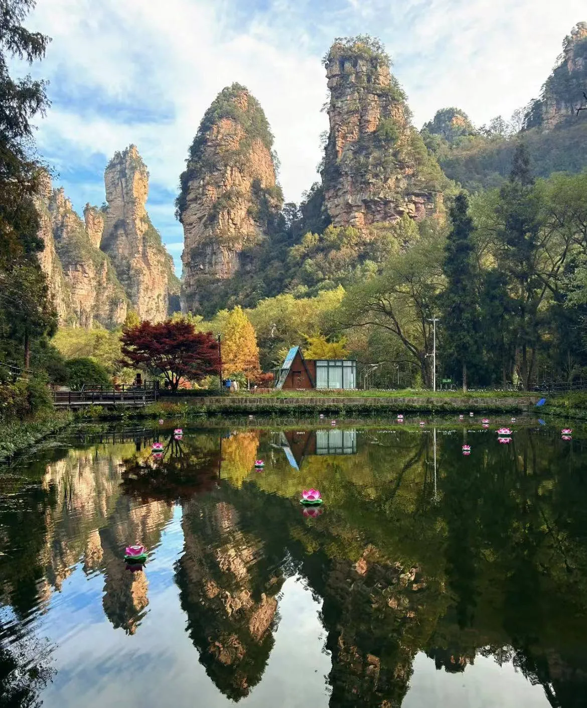 张家界十里画廊旅游攻略(张家界十里画廊旅游攻略图)