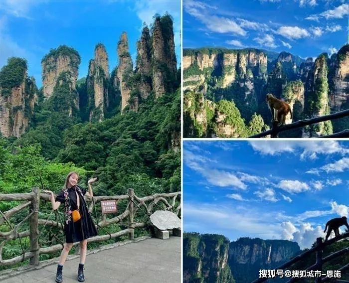 长沙到张家界三日旅游(长沙到张家界三日旅游高山) 长沙到张家界三日旅游(长沙到张家界三日旅游高山)