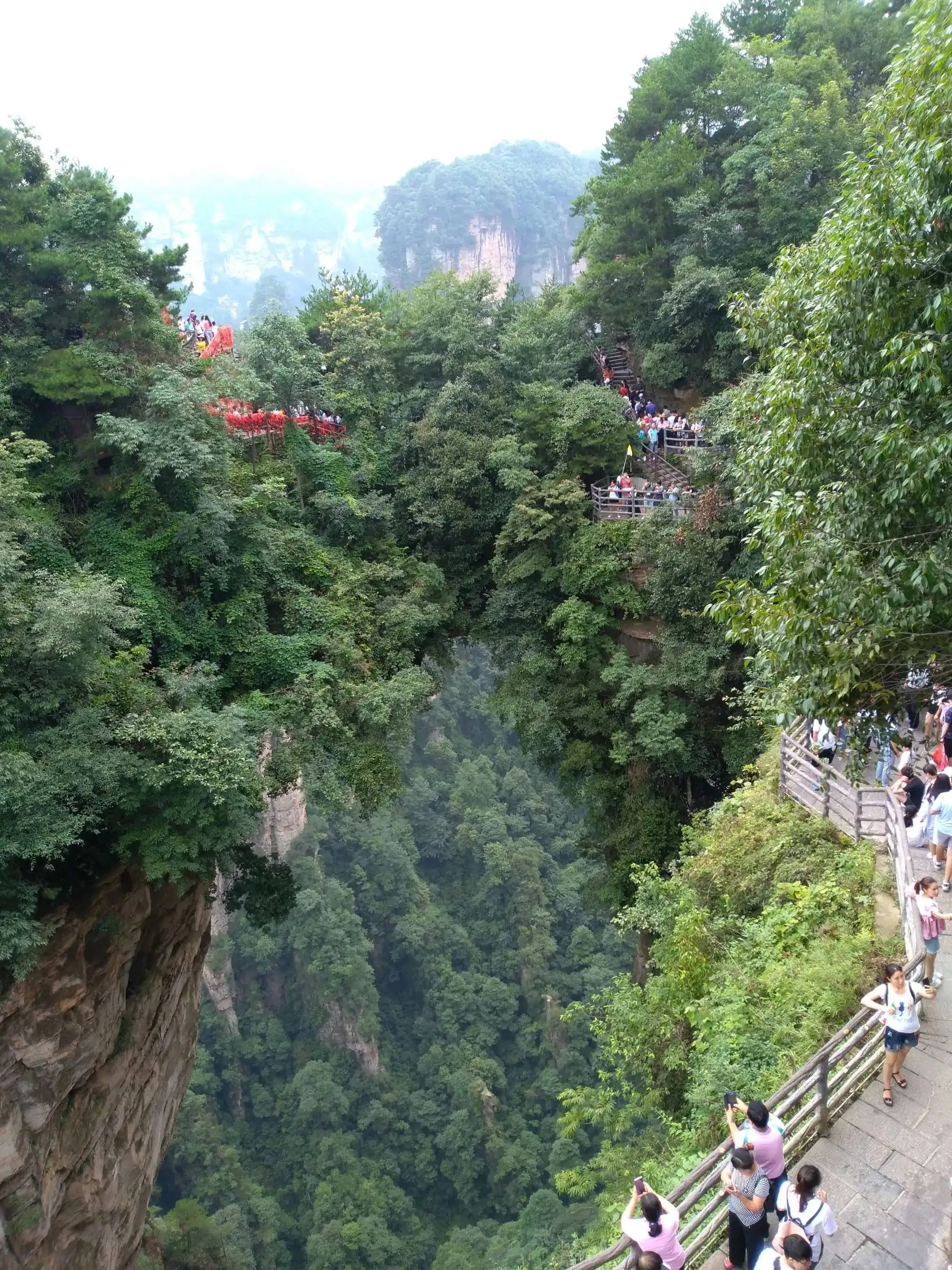 张家界天门山公园(张家界天门山公园门票多少钱)