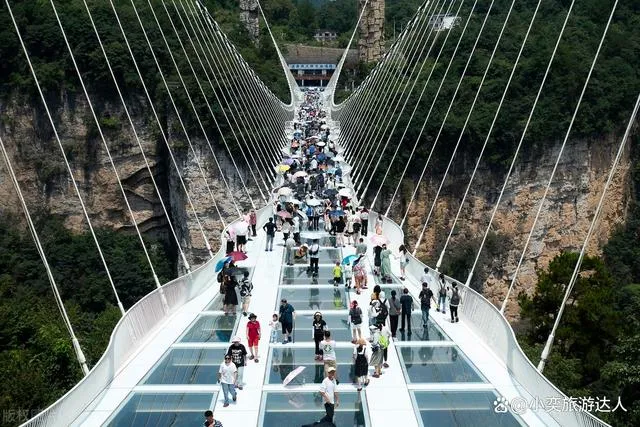 张家界自助旅游攻略5天(张家界自助旅游攻略5天多少钱)