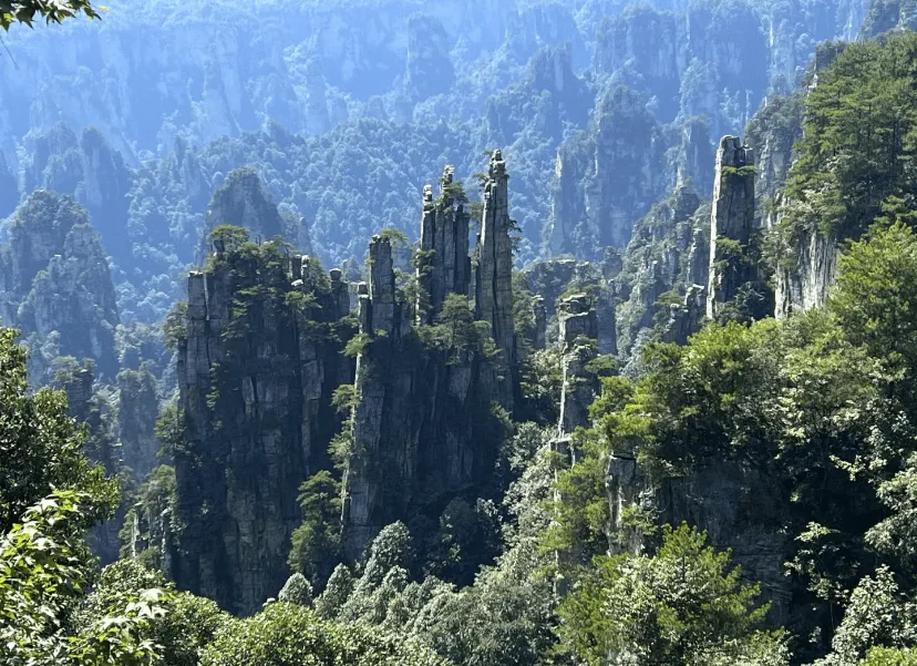 到张家界旅游攻略必玩的景点(到张家界旅游攻略必玩的景点有哪些)