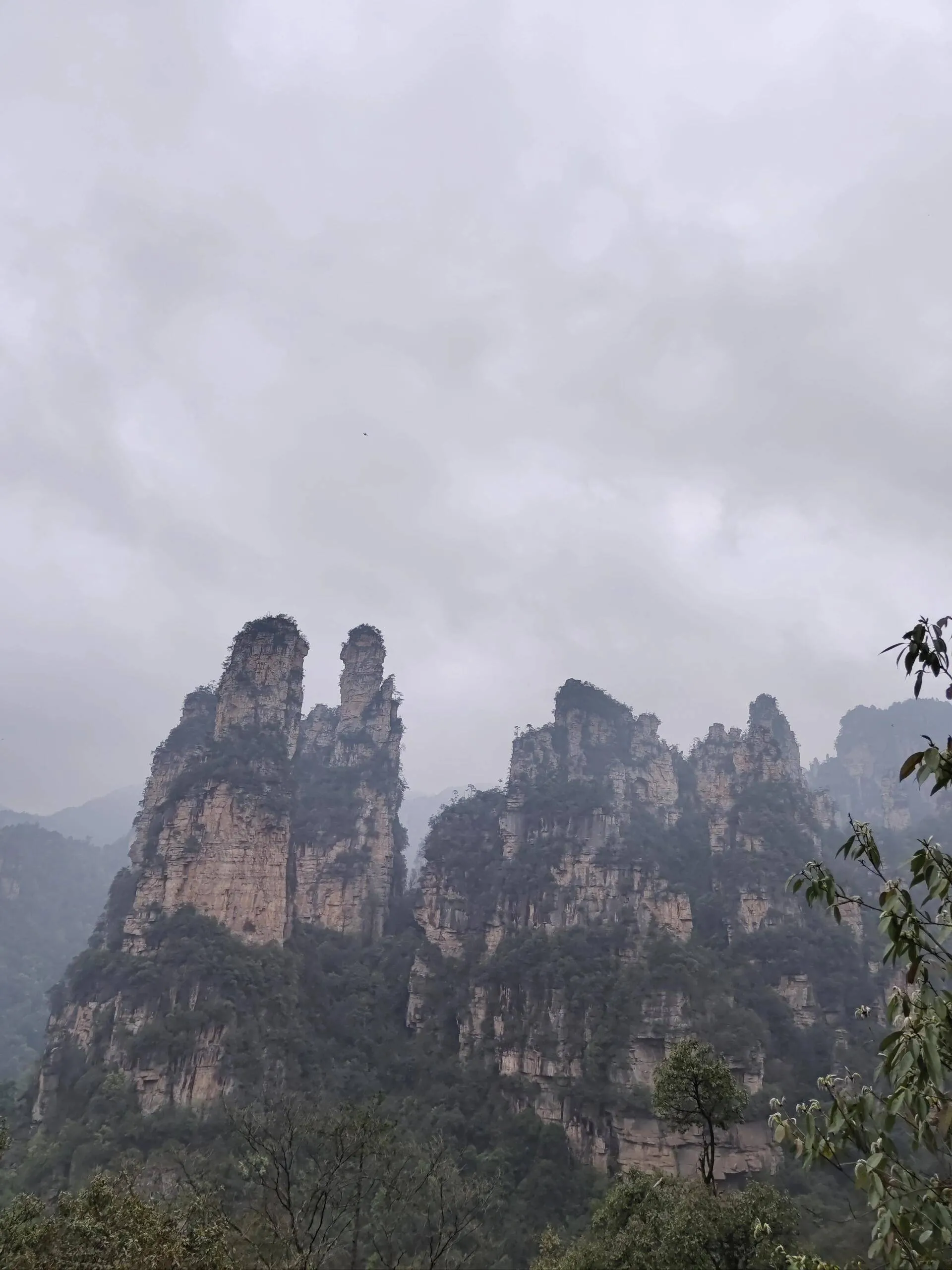 到张家界大峡谷旅游攻略(到张家界大峡谷旅游攻略图) 到张家界大峡谷旅游攻略(到张家界大峡谷旅游攻略图)