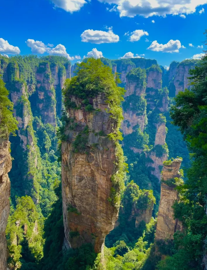 张家界的旅游地方有哪些(张家界的旅游地方有哪些景点)