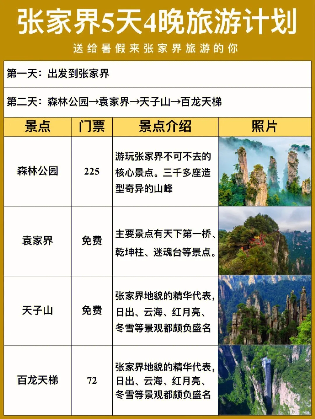 张家界的旅游攻略(张家界的旅游攻略怎么写)