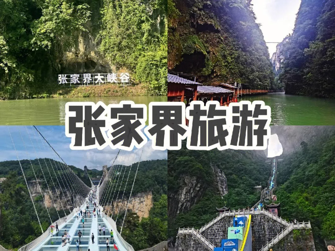 旅行张家界攻略三天(张家界自由行三天攻略)