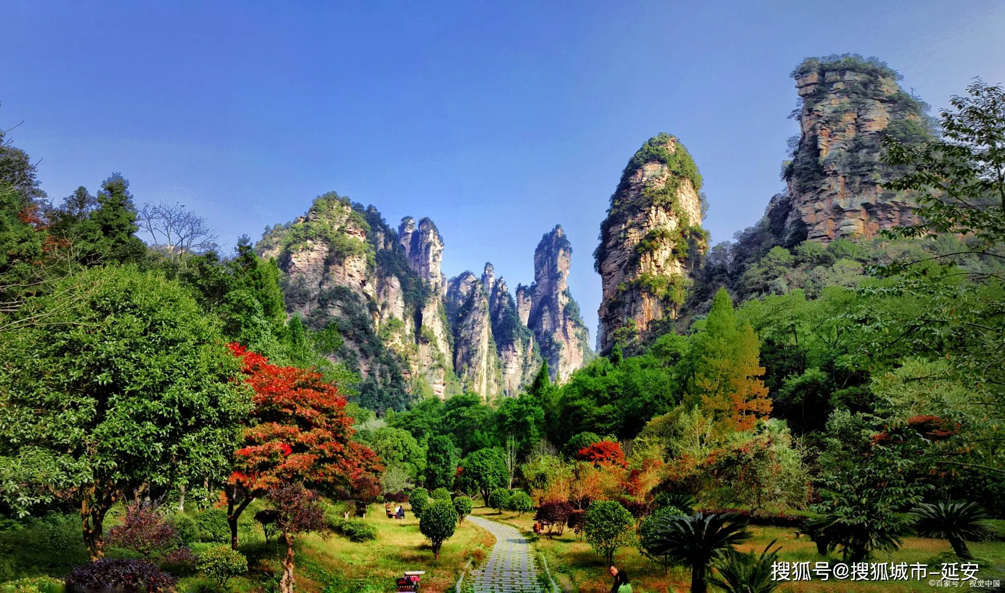 张家界纯玩旅行(张家界纯玩旅行社有限公司) 张家界纯玩旅行(张家界纯玩旅行社有限公司)