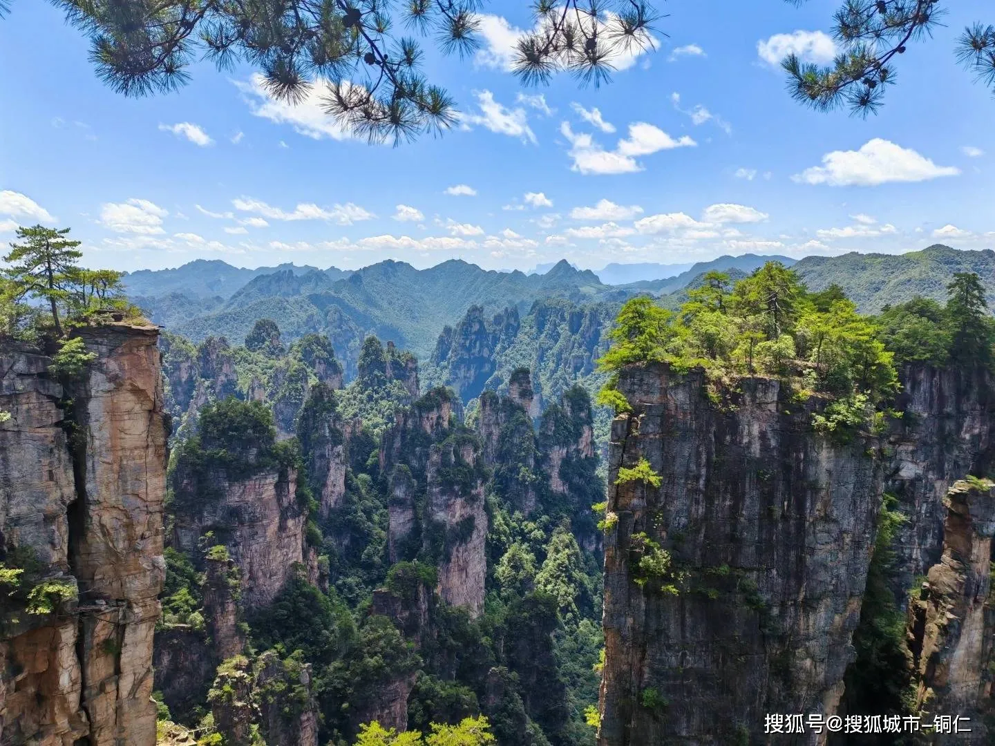 老人张家界旅游攻略(去张家界旅游老年人免门票吗?)