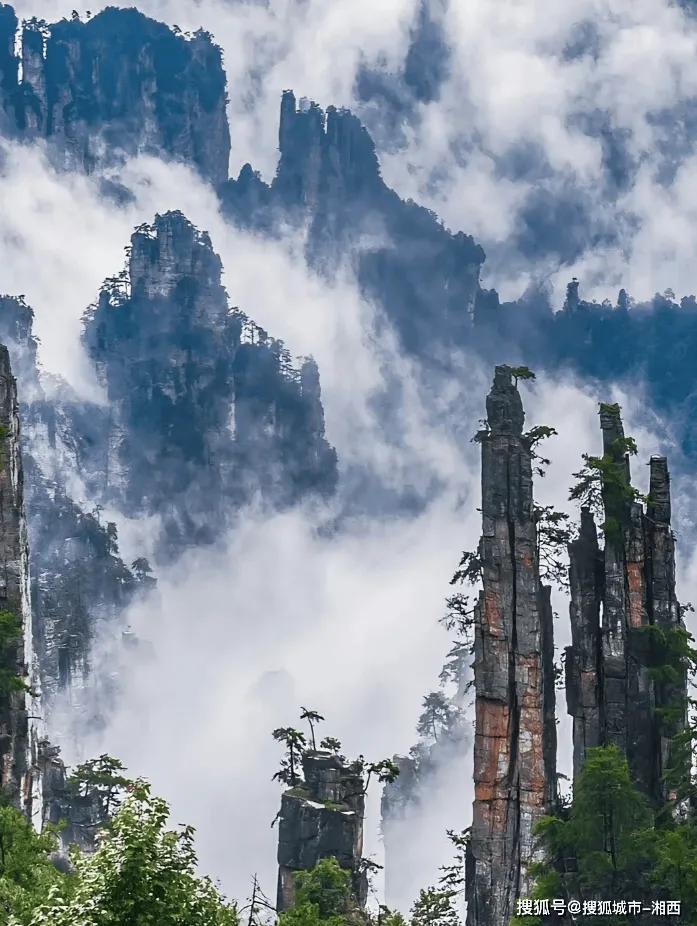 张家界旅游的旅游(张家界旅游旅游团真黑) 张家界旅游的旅游(张家界旅游旅游团真黑)