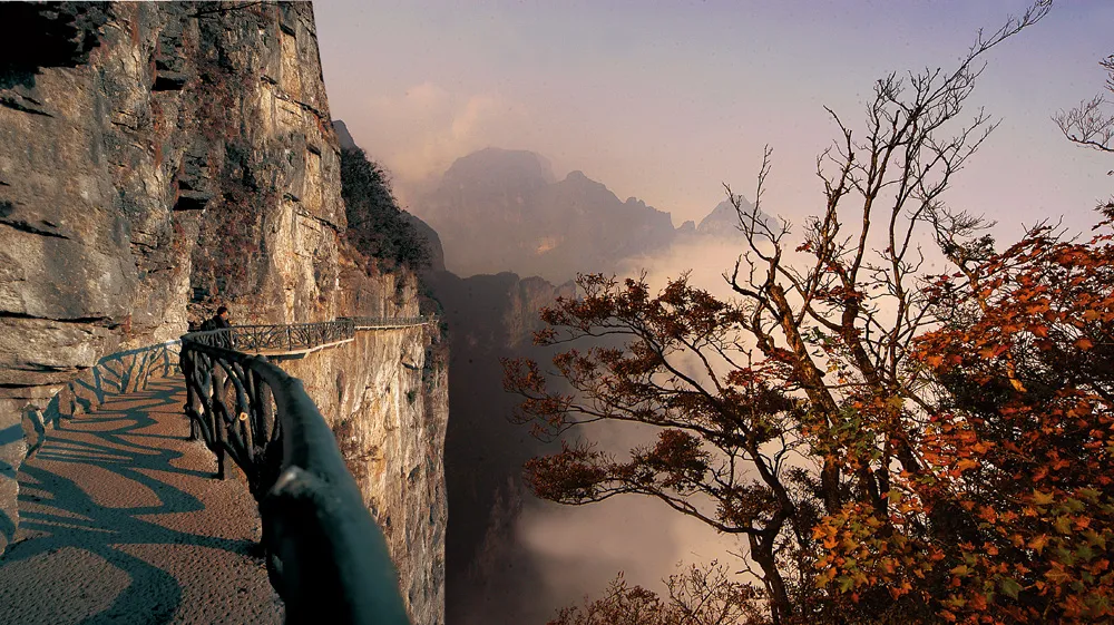 张家界天门山旅游a线(张家界天门山旅游a线检票口在哪里)