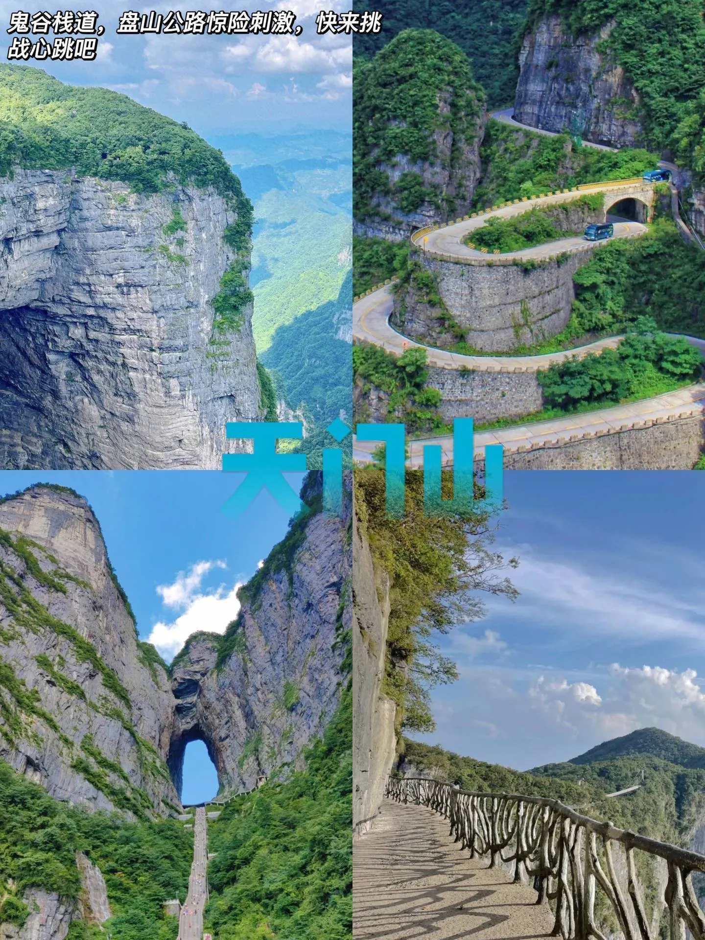 张家界的森林公园和天门山的距离(张家界的森林公园和天门山的距离是多少)