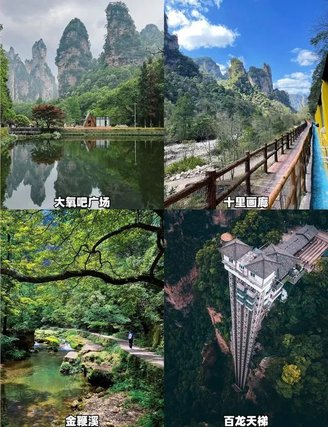4岁小朋友适合去张家界玩(张家界旅游适合带3岁小朋友吗)