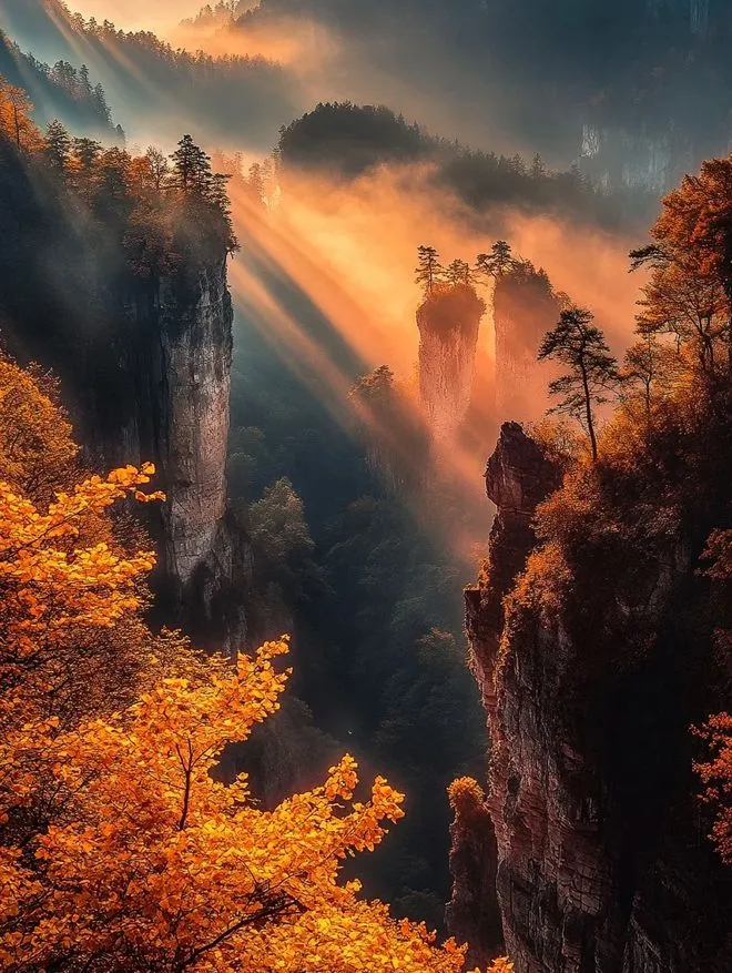 去张家界6天旅游(去张家界玩3天的费用)