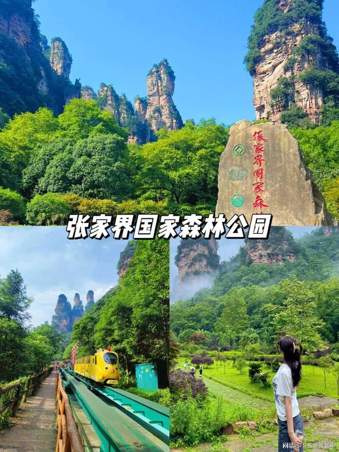去张家界旅游攻略自驾游(去张家界旅游攻略自驾游多少钱)