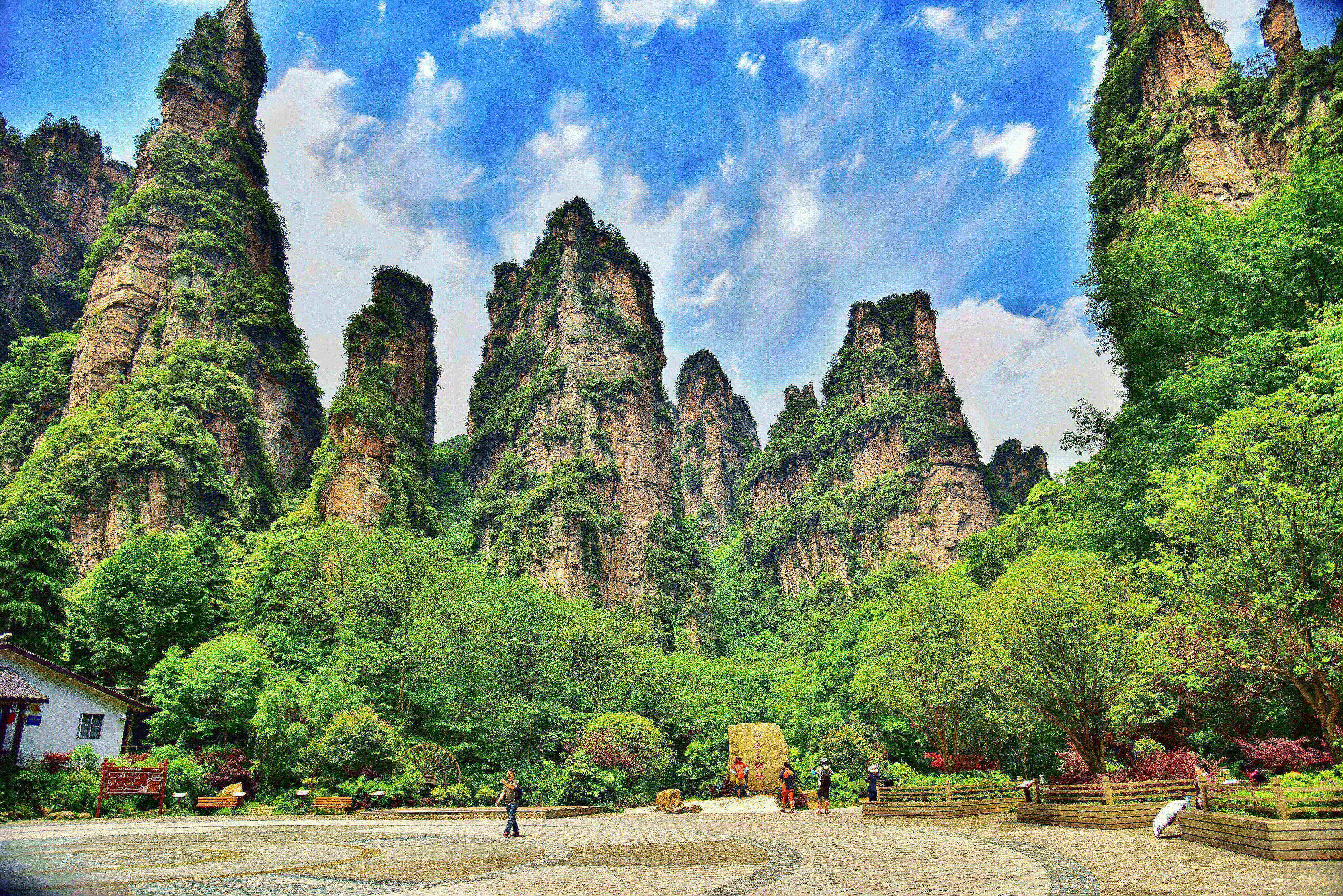 张家界和天门山哪个值得去玩(张家界景区和天门山景区去哪个好玩)