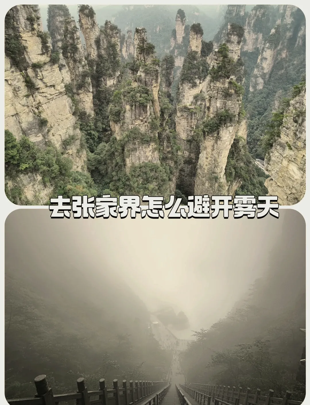 张家界雨天适合游玩吗(张家界天气雨天还能玩吗)