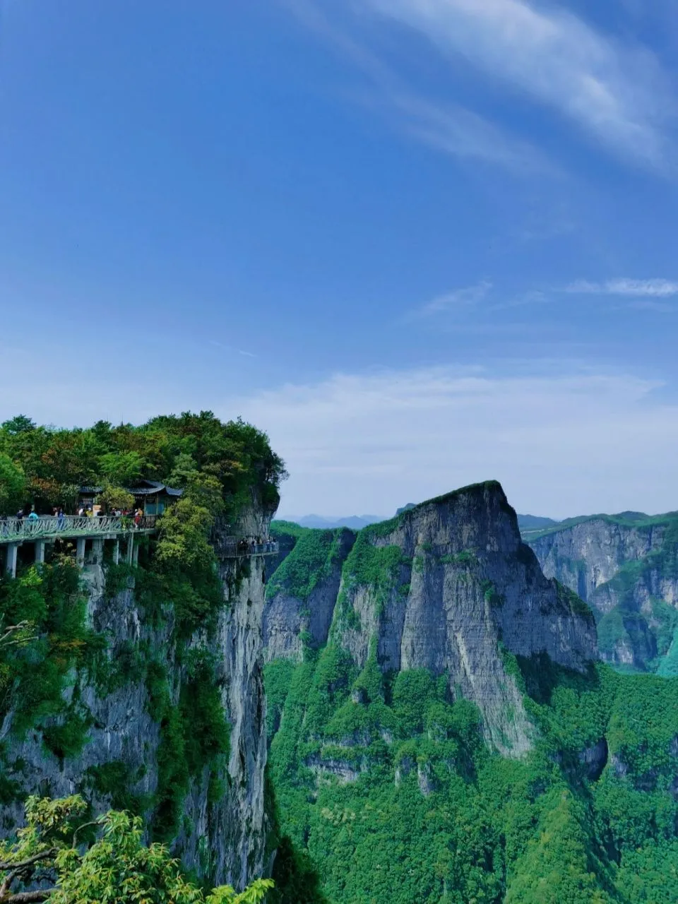 张家界天门山附近有哪些景点(张家界天门山附近有哪些景点和景点)