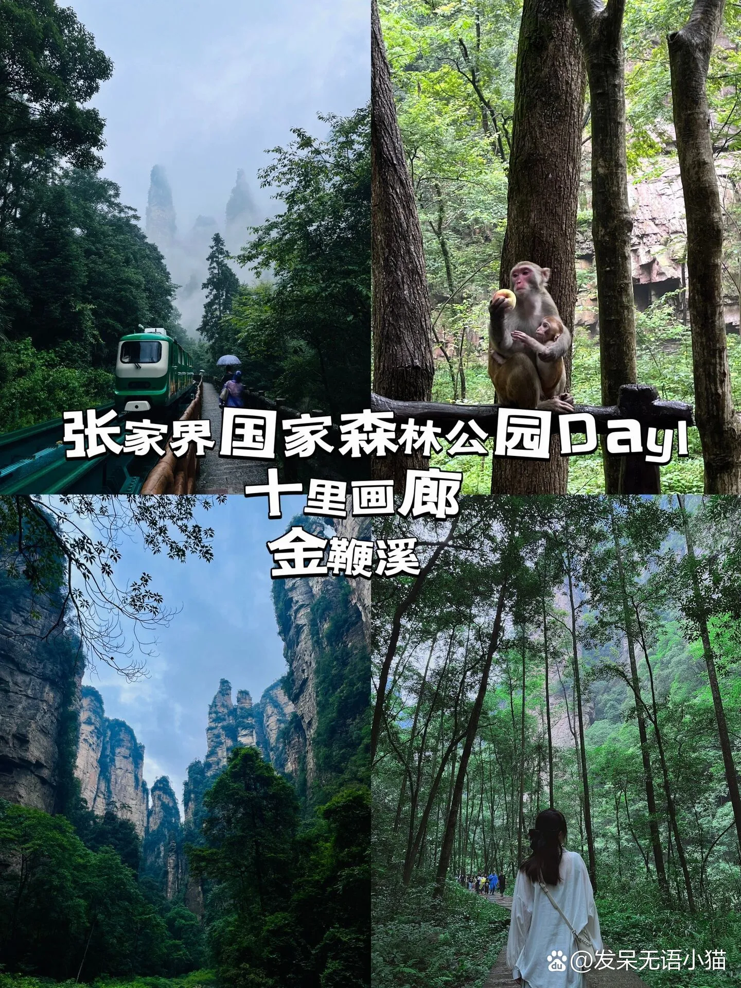 张家界天门山旅游多少钱(张家界天门山费用多少钱?)