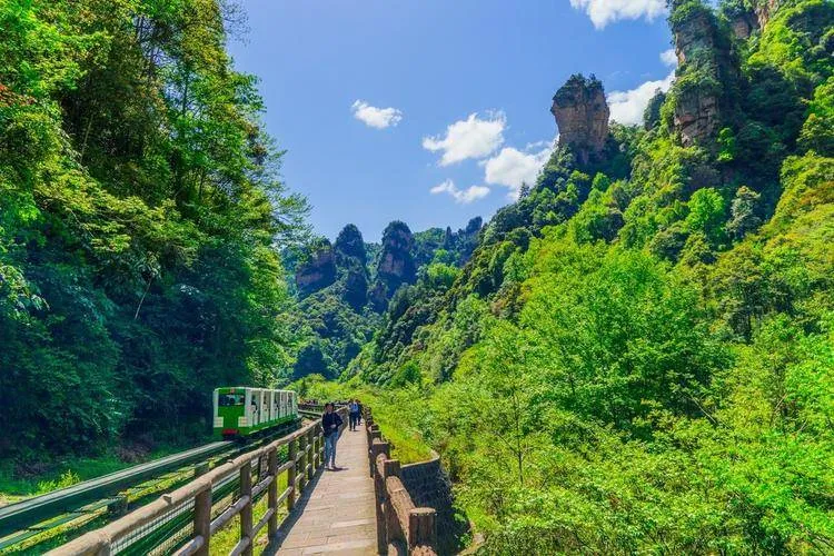 到张家界游玩景区(到张家界游玩景区要核酸吗)
