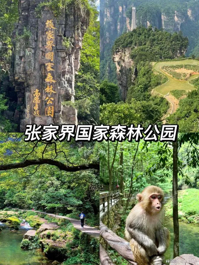 天门山芜湖旅游攻略(芜湖天门山景区门票价格)