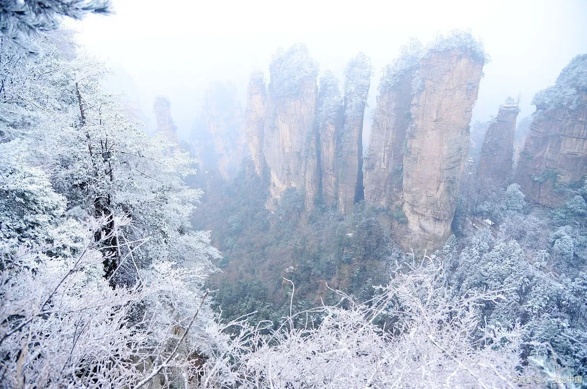 冬天适合去张家界玩吗(冬天适合去张家界玩吗女生)