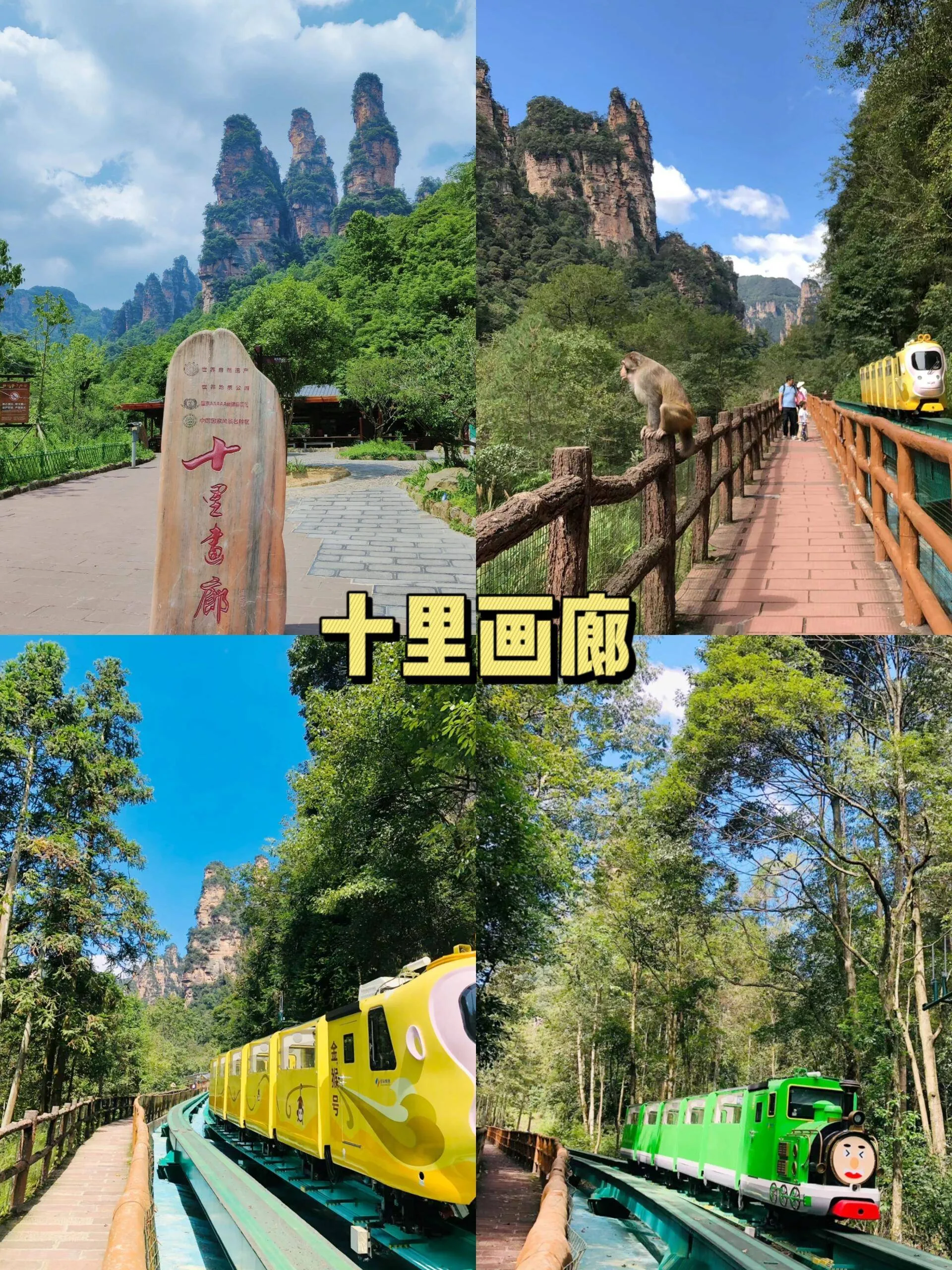 湖南张家界旅游攻略路线(湖南张家界旅游攻略景点必去)