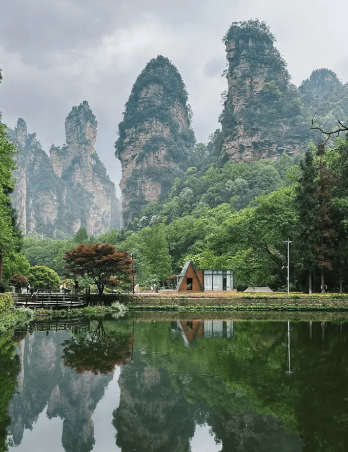 张家界景区的旅游(张家界景区的旅游攻略)