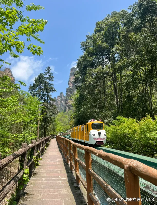 旅游张家界7天需要多少钱(去张家界旅游七天需要多少钱)