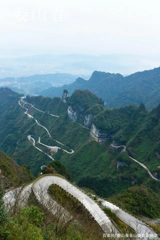 张家界天门山的山路(张家界天门山山路图片)