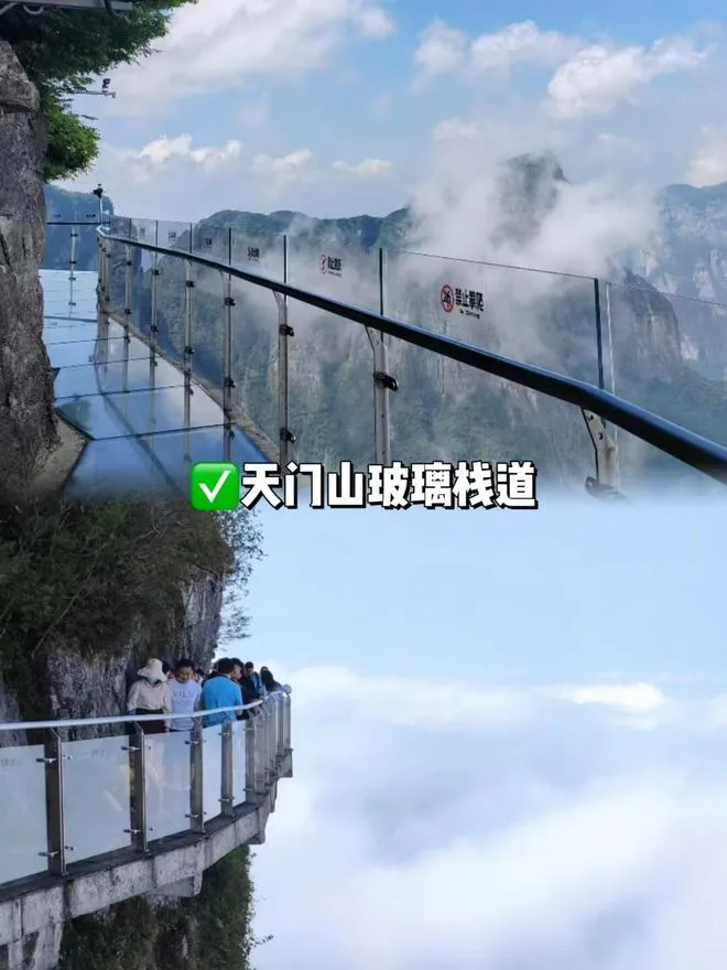张家界旅游三日游攻略自助游(张家界旅游三日游攻略自助游价格)