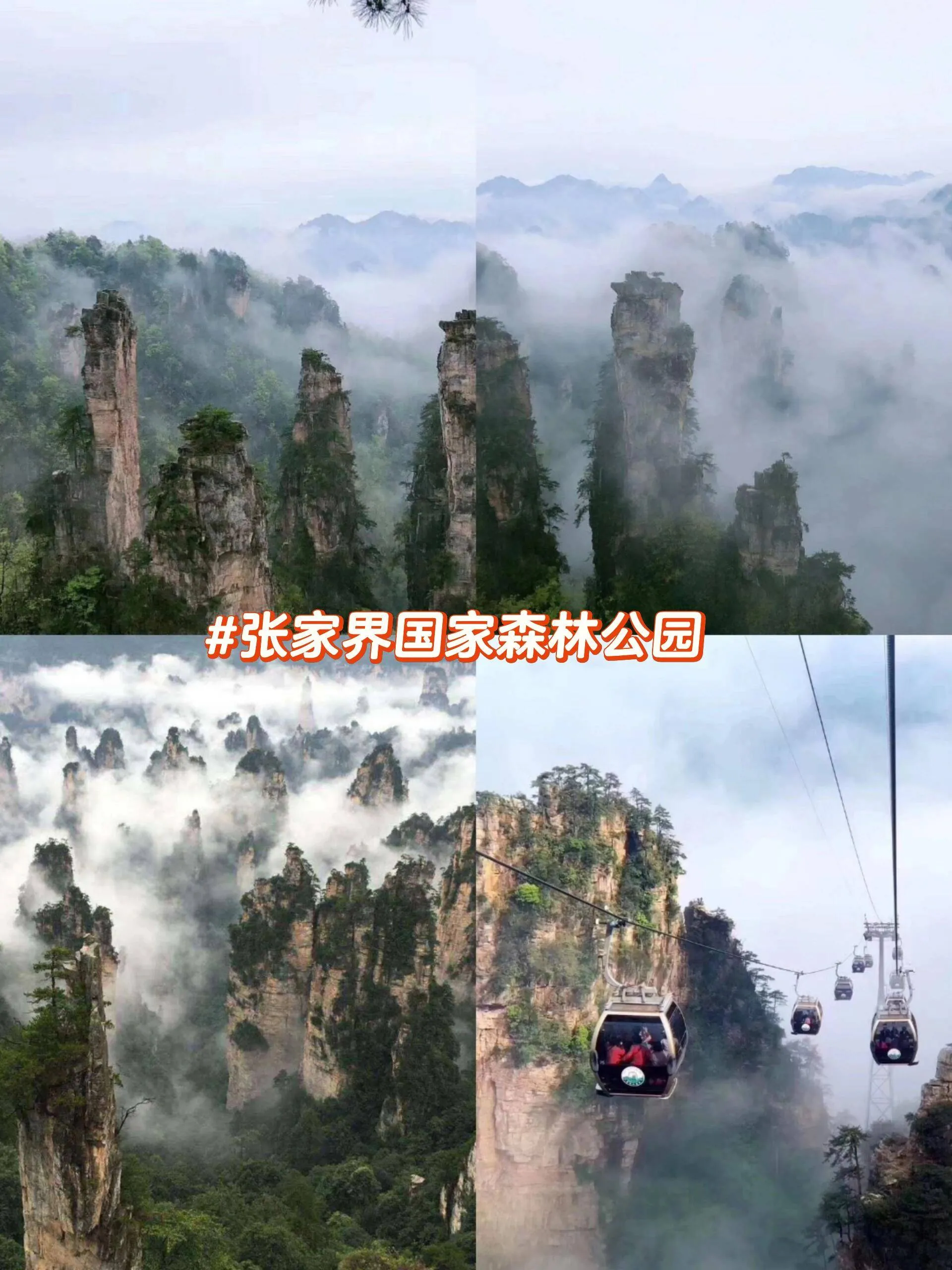 去张家界天门山景区(去张家界天门山景区怎么走)