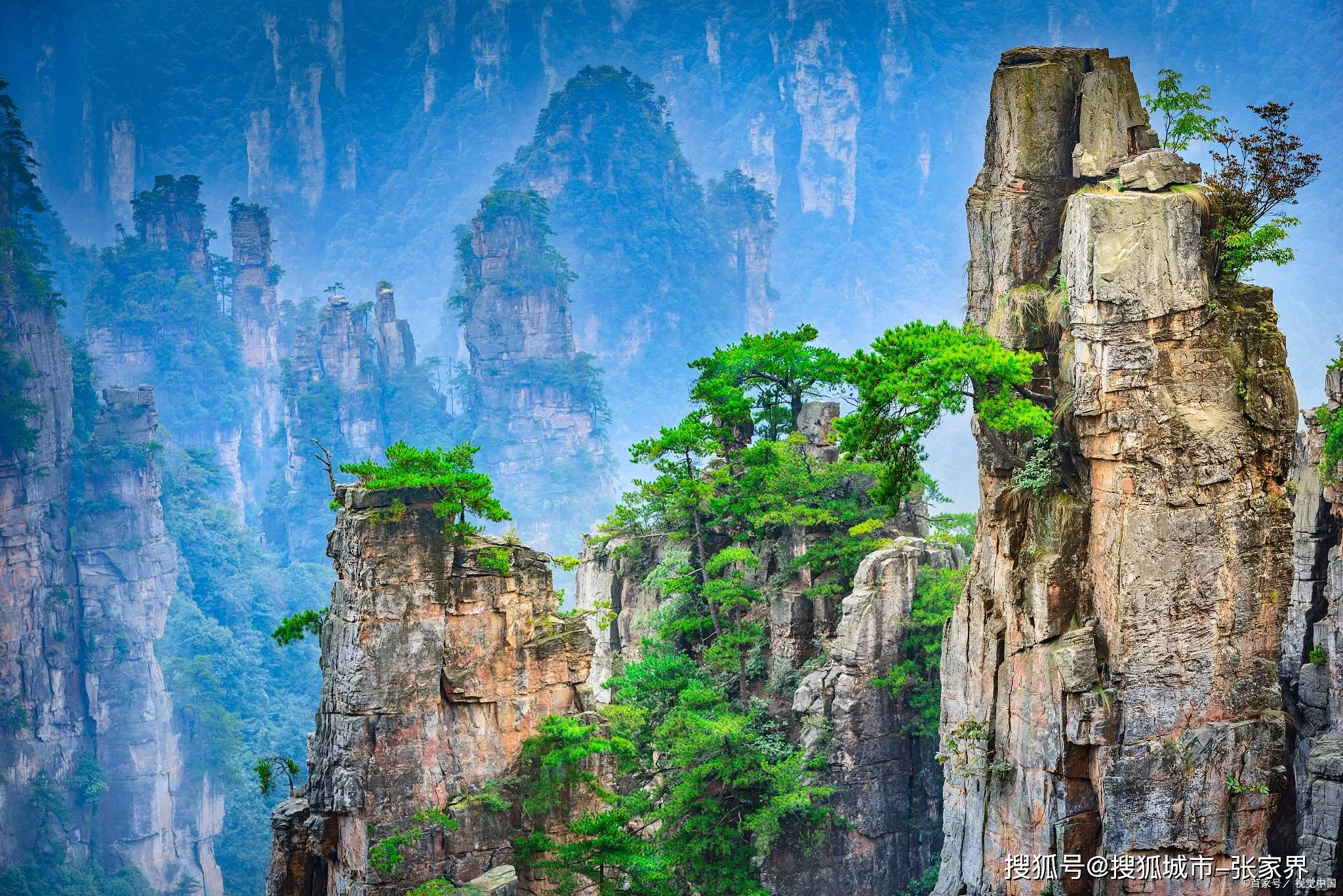 去张家界天门山旅行(去张家界天门山旅行路线)