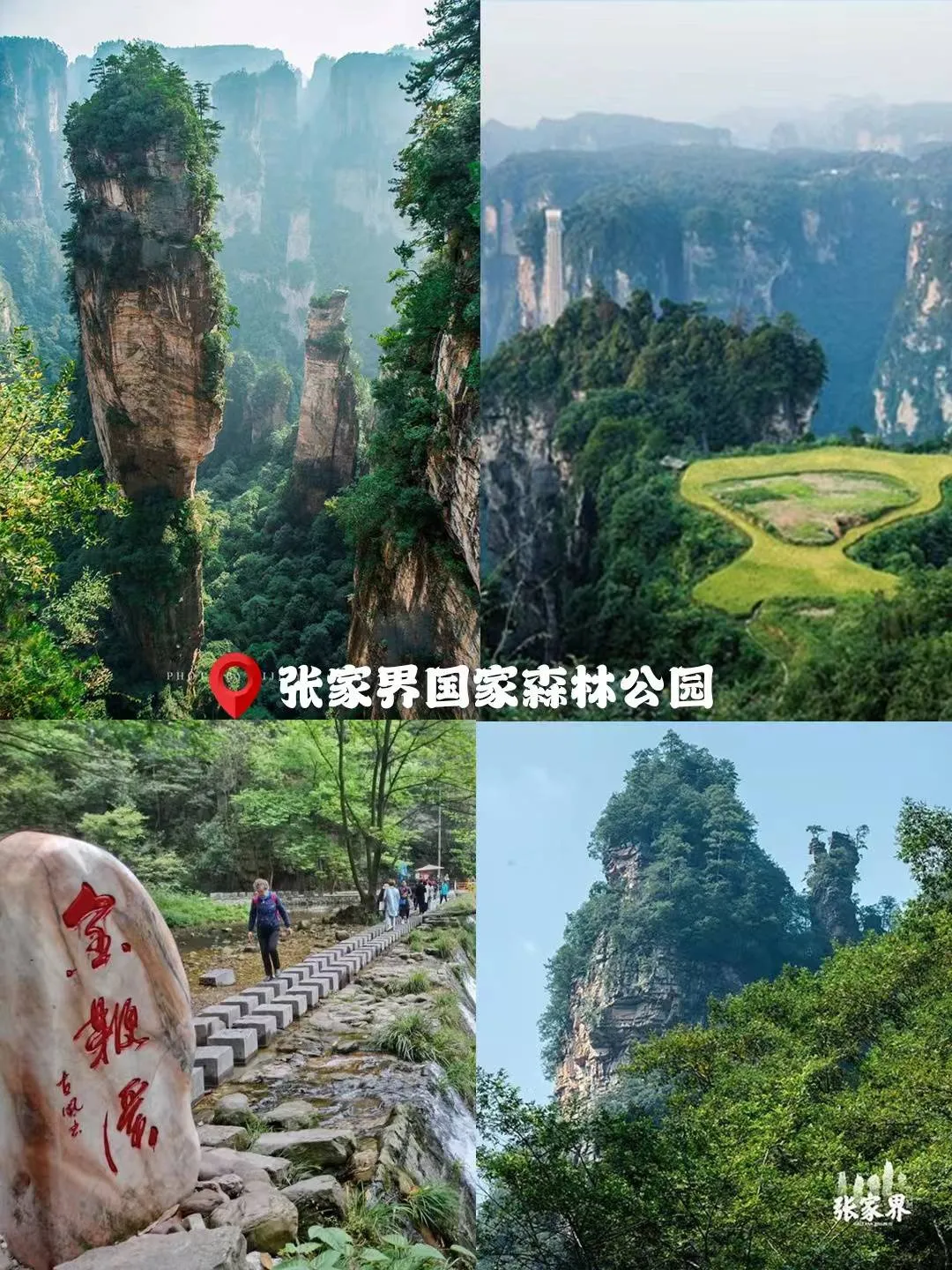张家界去玩攻略(张家界去玩攻略 花费)