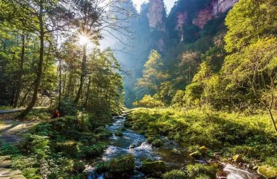 张家界哪里旅游好(张家界哪个景点最值得玩) 张家界哪里旅游好(张家界哪个景点最值得玩)