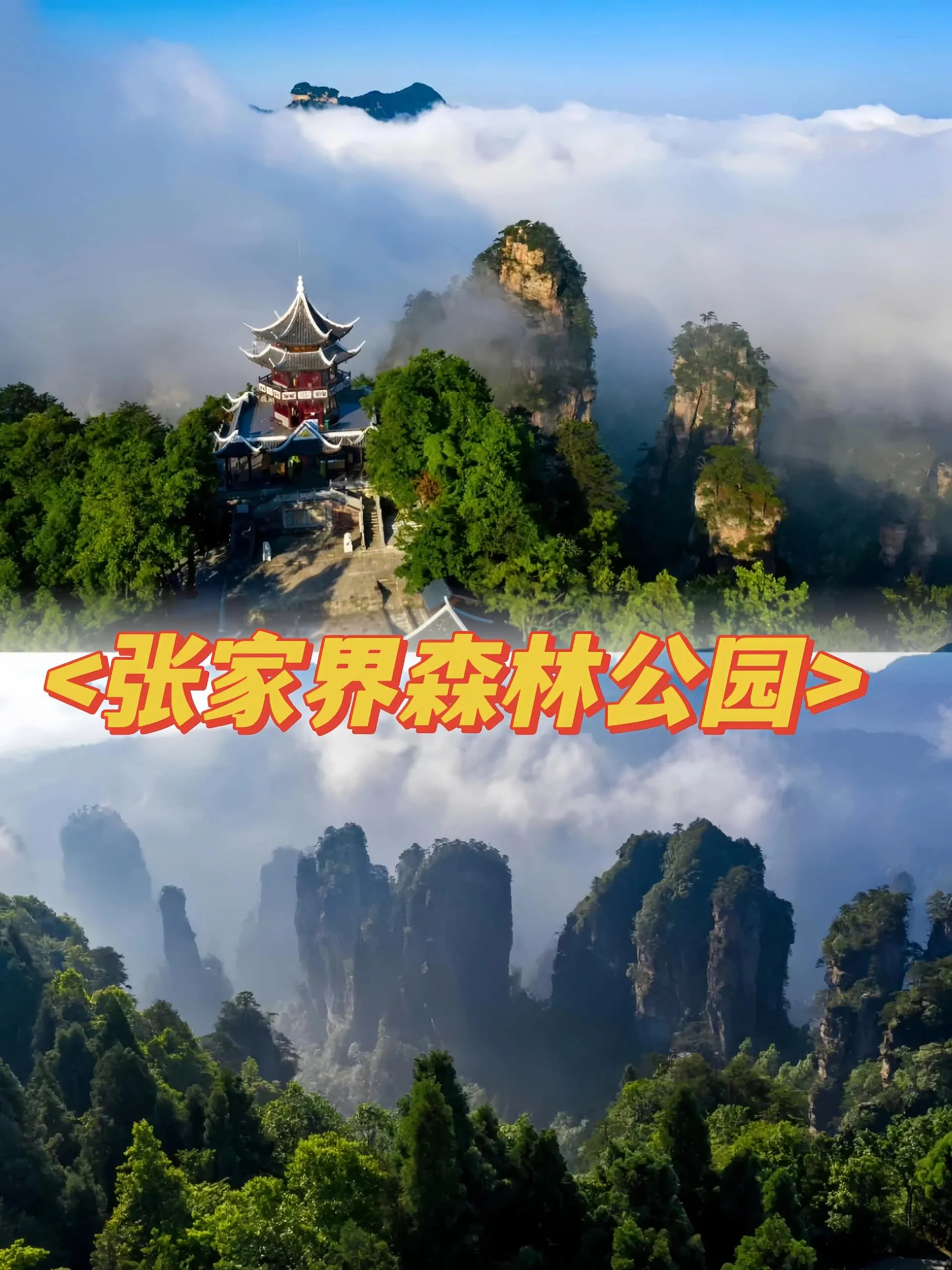 想到张家界旅游(去张家界旅游的感受)