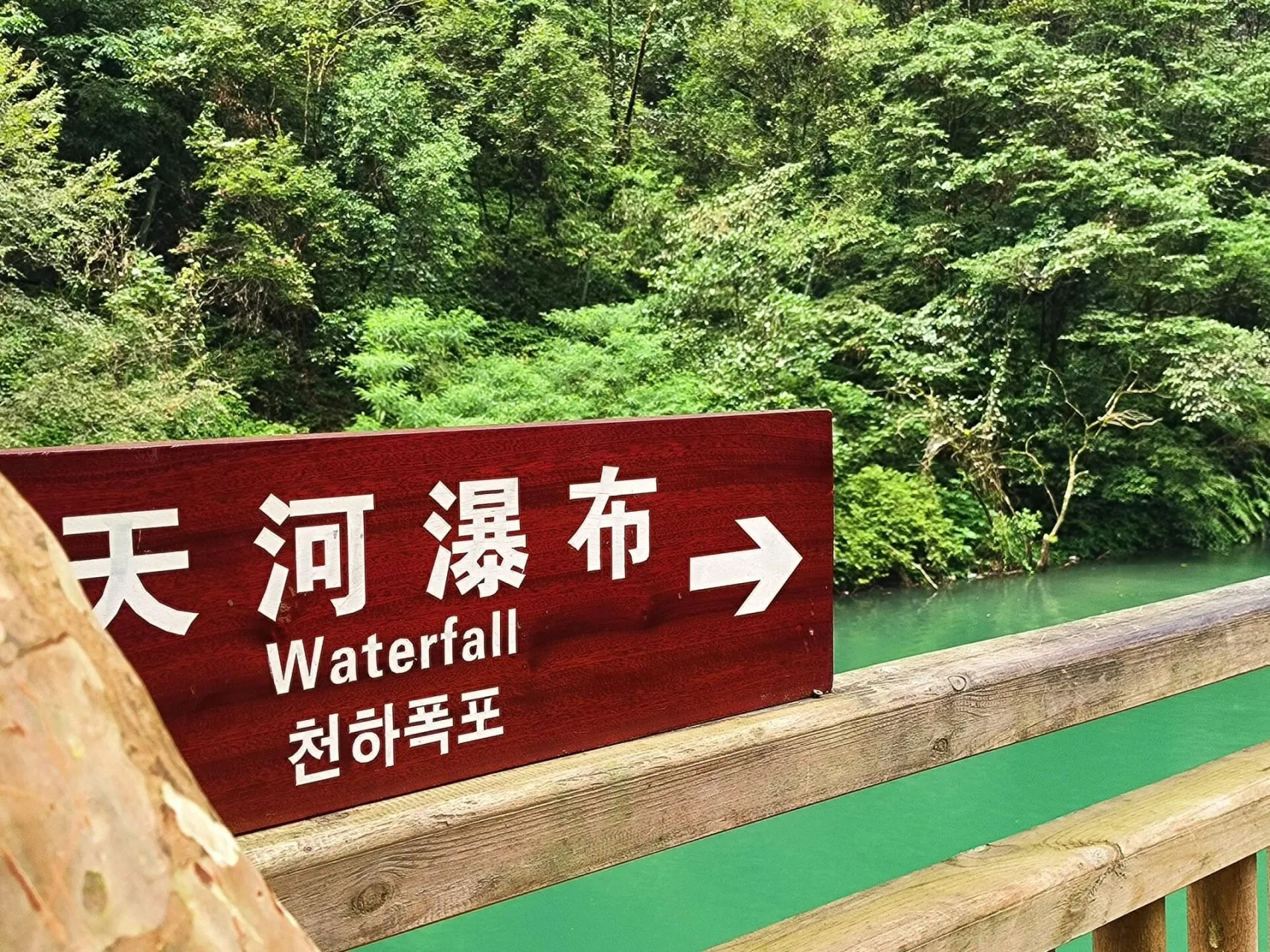 张家界玩滑索多少钱钱(张家界玩滑索多少钱钱一小时)